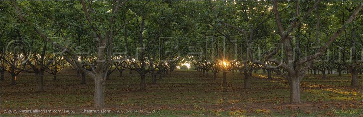 Peter Bellingham Photography Chestnut Light - VIC (PBH4 00 13206)